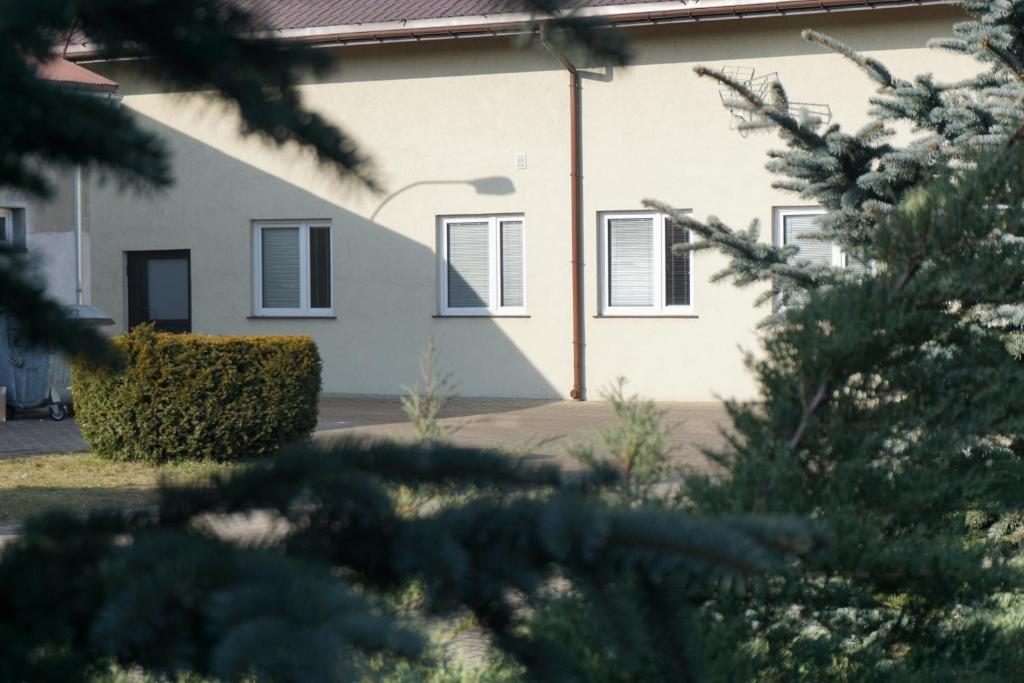 un bâtiment blanc avec des arbres devant lui dans l'établissement Kwatery pracownicze, à Łódź