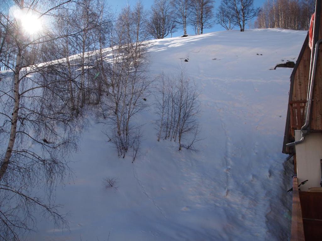 Alpine Hideout v zimě