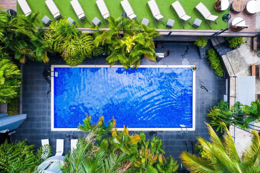 an overhead view of a swimming pool with palm trees at Riande Urban Hotel in Panama City