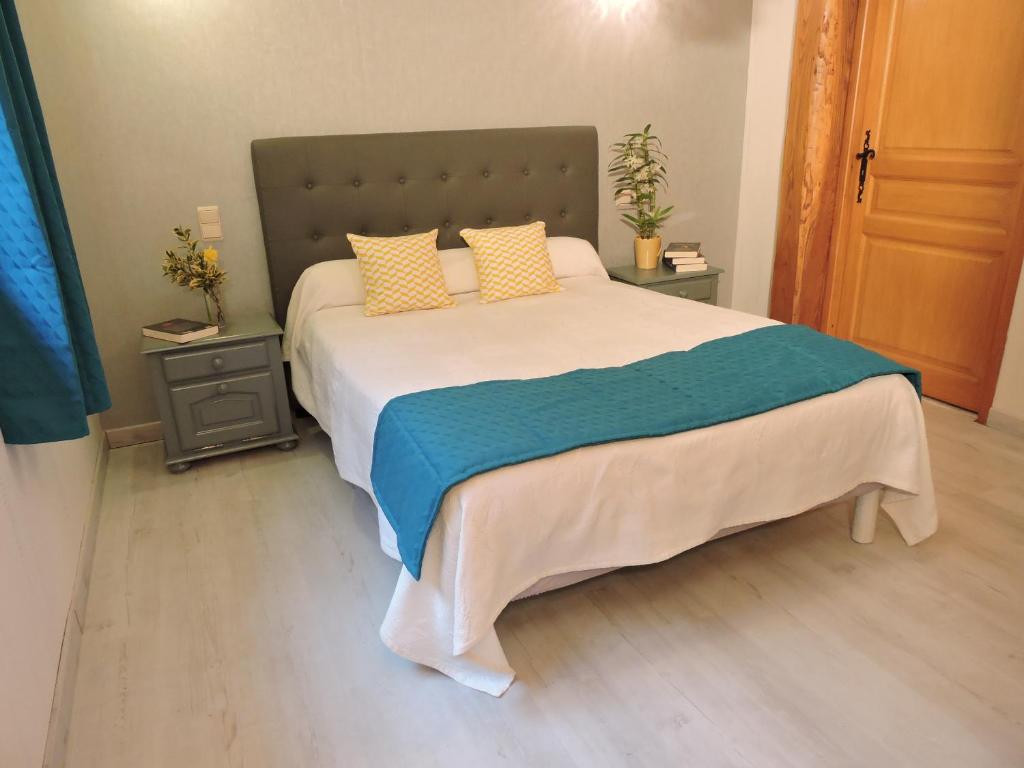 1 dormitorio con 1 cama grande y 2 mesitas de noche en Le Moulin du Barthas, en Montredon-Labessonnié
