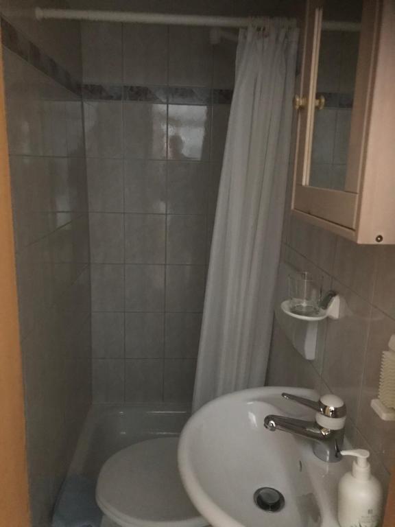 Koupelna v ubytování Abelied