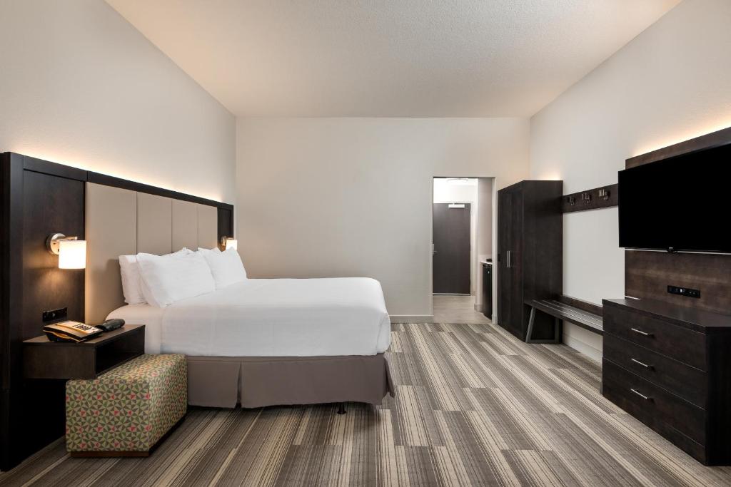 Holiday Inn Express & Suites Lakeland South by IHG photo