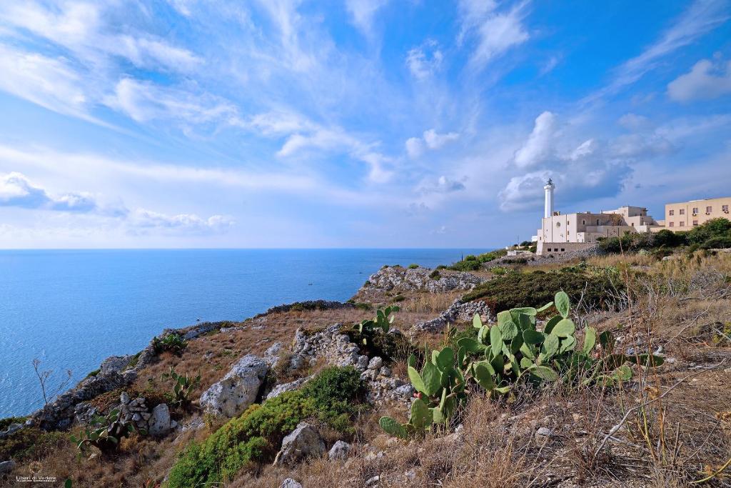 budynek na szczycie wzgórza nad oceanem w obiekcie Oikia Vacanze Diso Giulia w mieście Diso