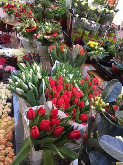 une exposition de fleurs rouges dans un fleuriste dans l'établissement Napoleon, à Cannes