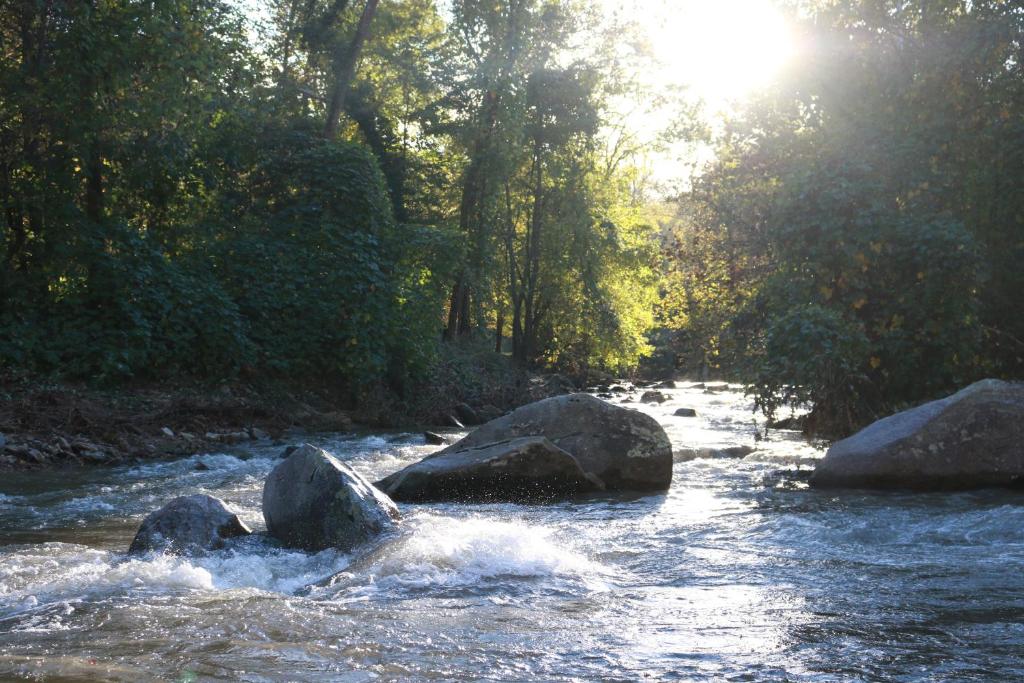 a river with some rocks in the water and trees at Riverside Lodge at Chimney Rock in Chimney Rock