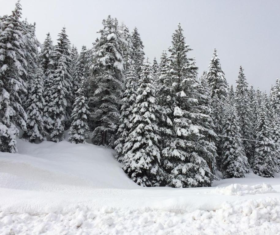 Rifugio Monti Pallidi v zimě