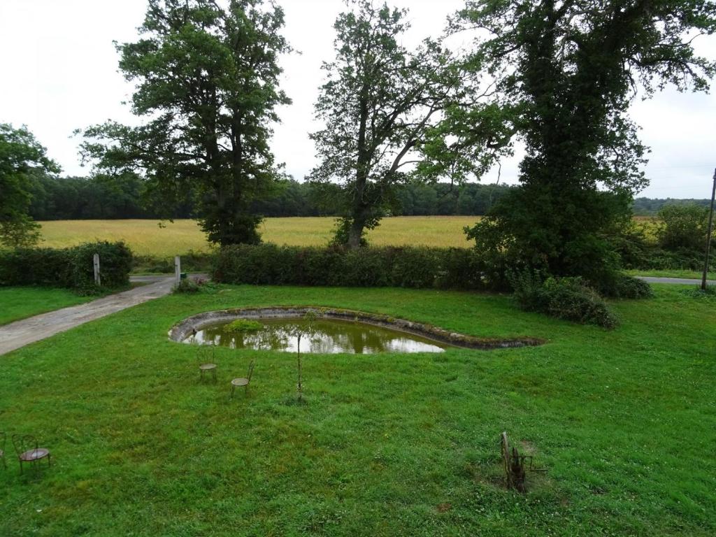 un pequeño estanque en medio de un campo en Gîte de La Ronce en Dhuizon