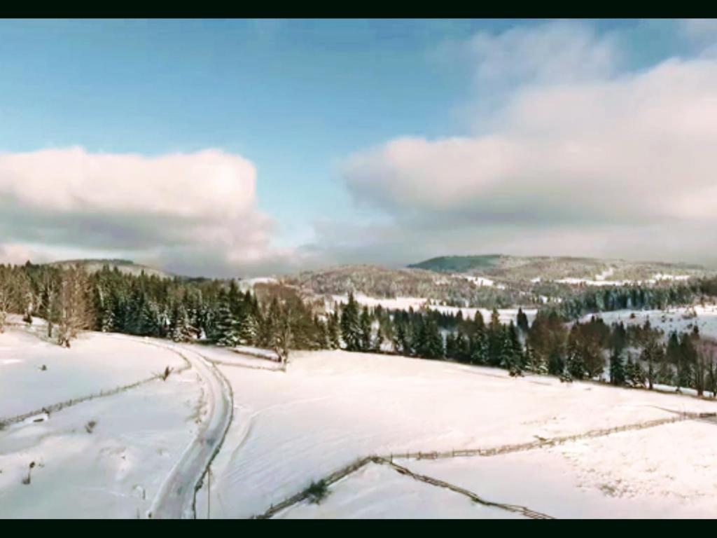 a snow covered field with tracks in the snow at Lodge Nagramak in Sekulić 