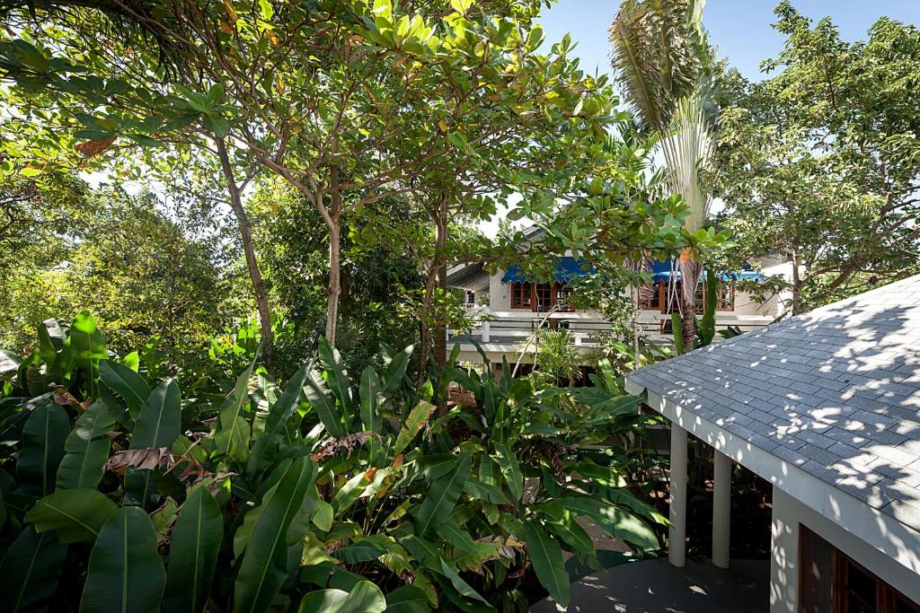 Zahrada ubytování Beach House Condos, Negril