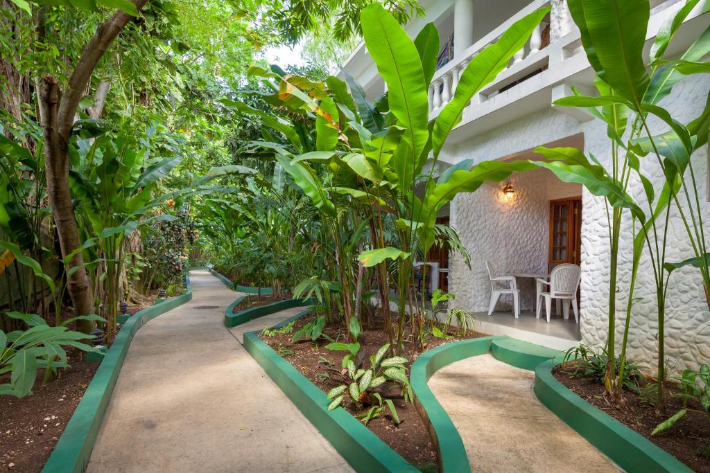 Zahrada ubytování Beach House Condos, Negril