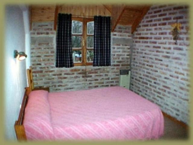 Postel nebo postele na pokoji v ubytování Puma Hostel