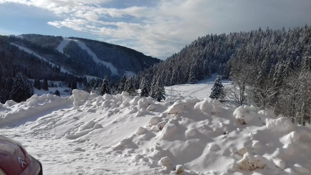 einen Schneehaufen an der Seite eines Berges in der Unterkunft Les feignes cerfdoré in La Bresse