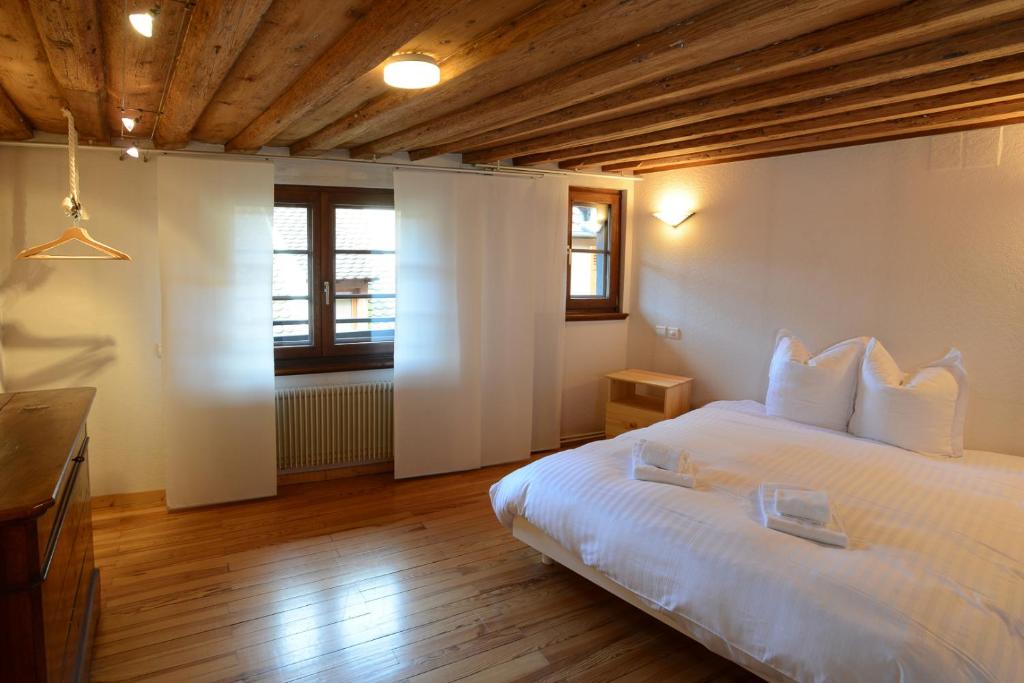 KAYSERSBERG city center - House "AUX 7 FORGERONS" - – photo 8