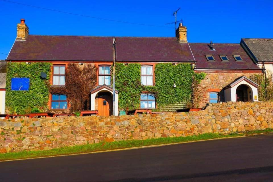 a brick house with ivy growing on a stone wall at King's Head Inn in Llangennith