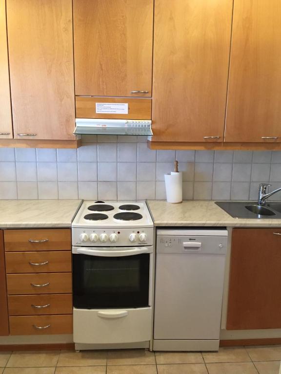 Кухня или мини-кухня в Rukariutta Apartments
