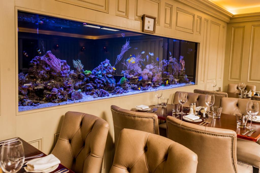 Fotografie z fotogalerie ubytování Vaughans Anchor Inn v destinaci Liscannor