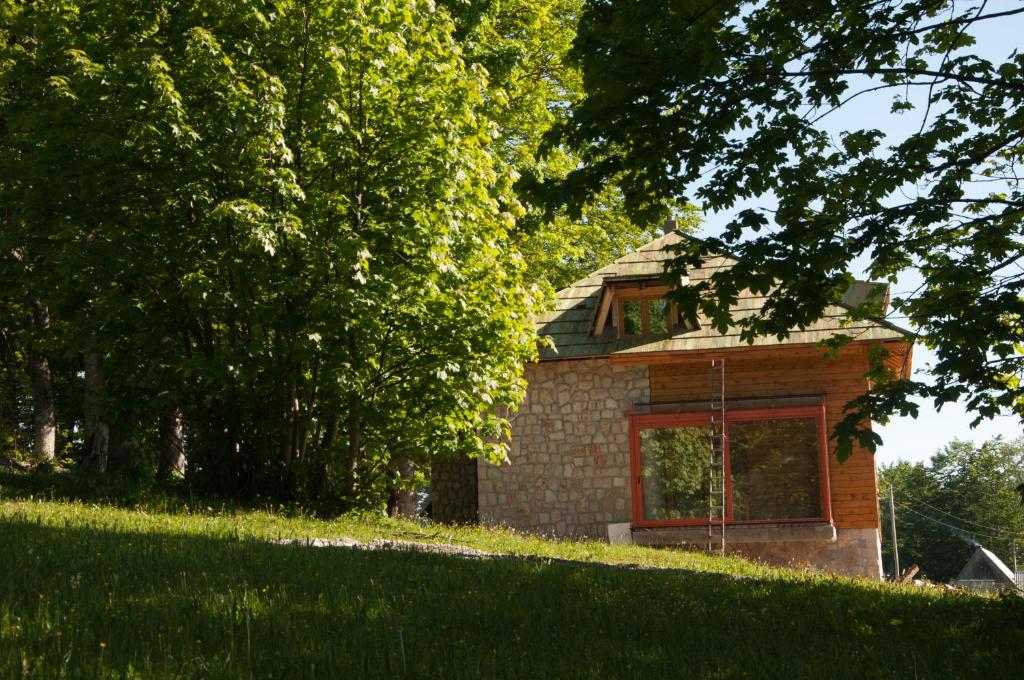 Zahrada ubytování Green Forest