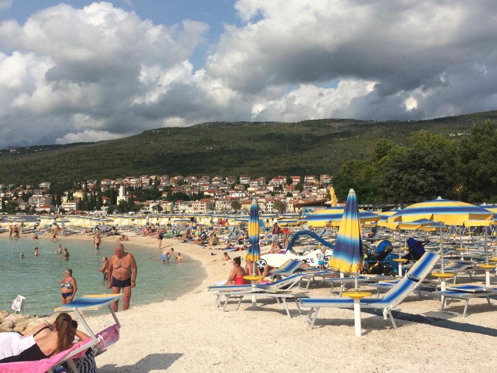 Příroda nedaleko apartmánu