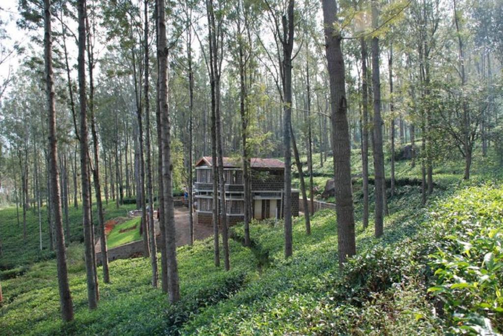 a tree house in the middle of a forest at Relaxing 2 B/R Estate House, Deenaty, Tamil Nadu in Coimbatore
