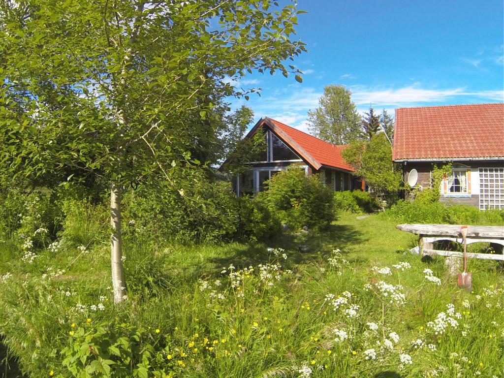 a house and a garden with a tree and flowers at Art Studio in Sortland