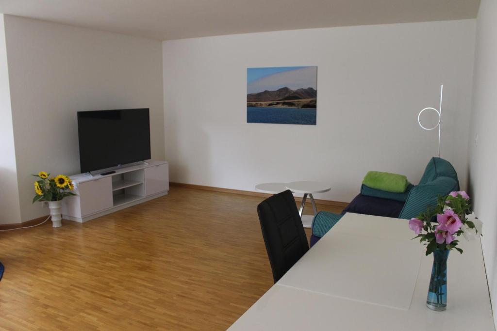 TV a/nebo společenská místnost v ubytování A Casa Fina- a modern room close to Basel