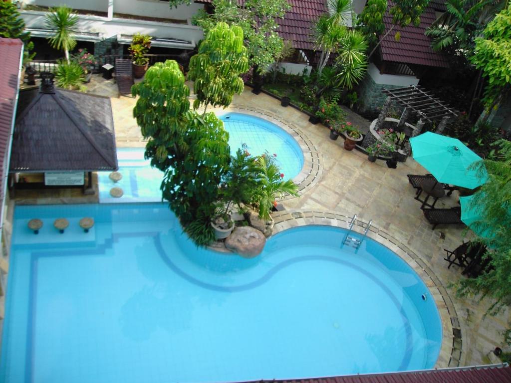 an overhead view of a large blue swimming pool at Resor Tuban Tropis in Tuban