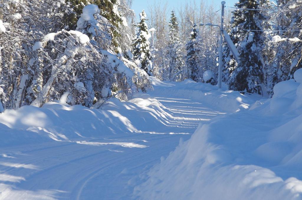 Lapland Snow Cabin v zimě