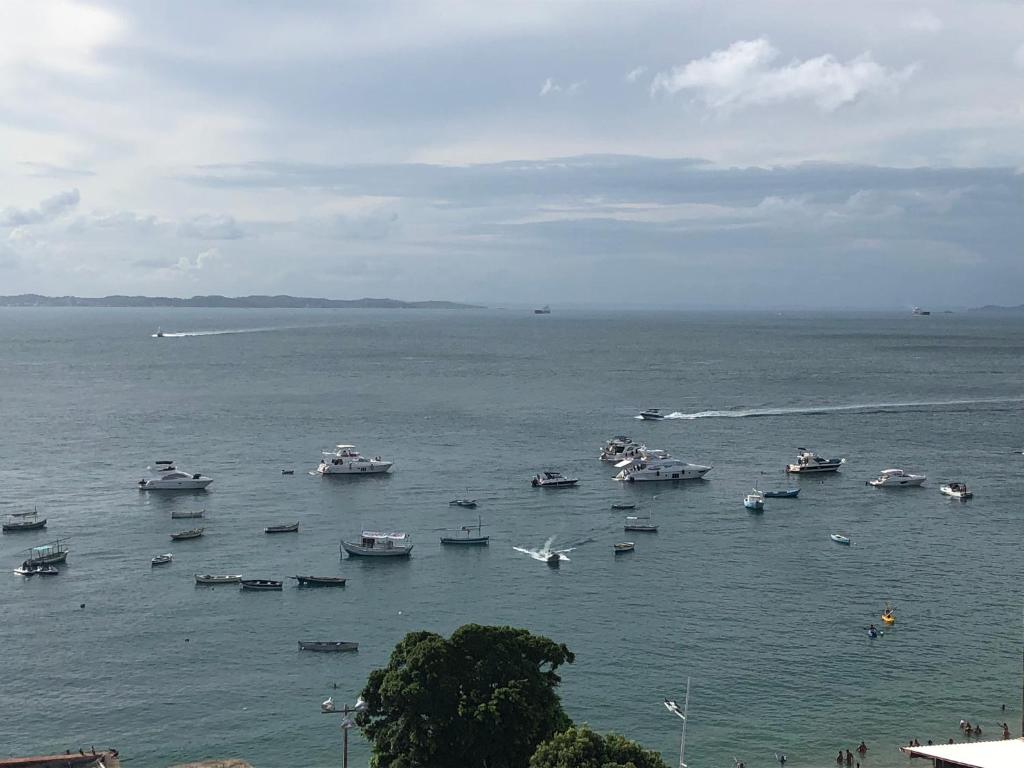 Apartamento Barra Salvador  Apartamento Barra Salvador