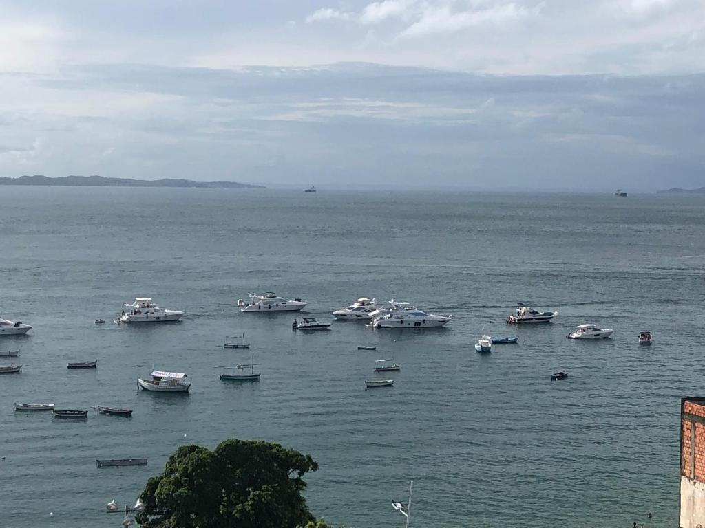 Apartamento Barra Salvador  Apartamento Barra Salvador