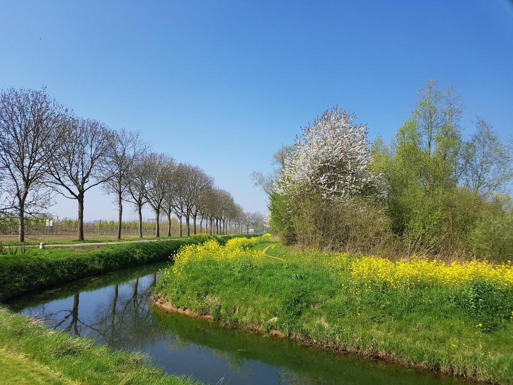 un río en un campo con árboles y flores amarillas en B&B Het Zwanennest, en Lienden