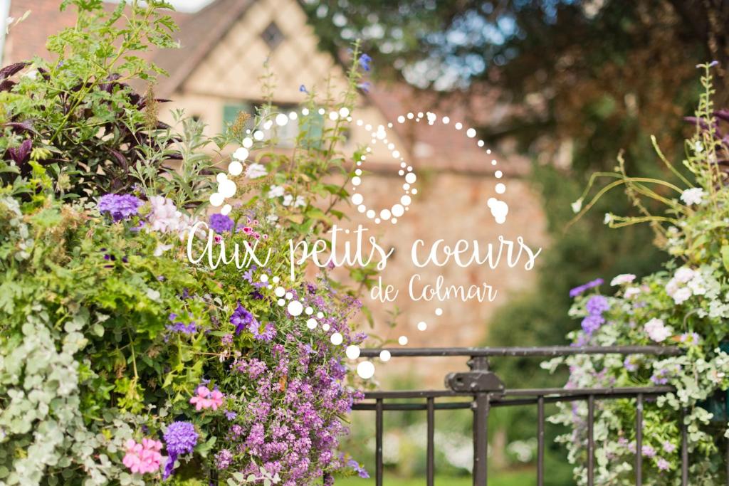 Aux petits cœurs de Colmar PETITE VENISE – photo 47