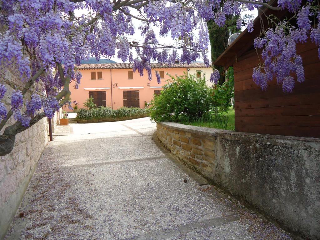 A garden outside Villa Pascolo