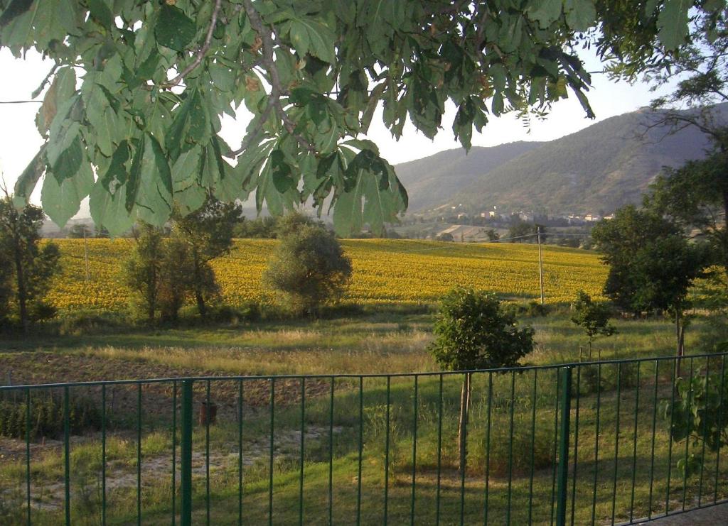 Táj Show country houses közelében