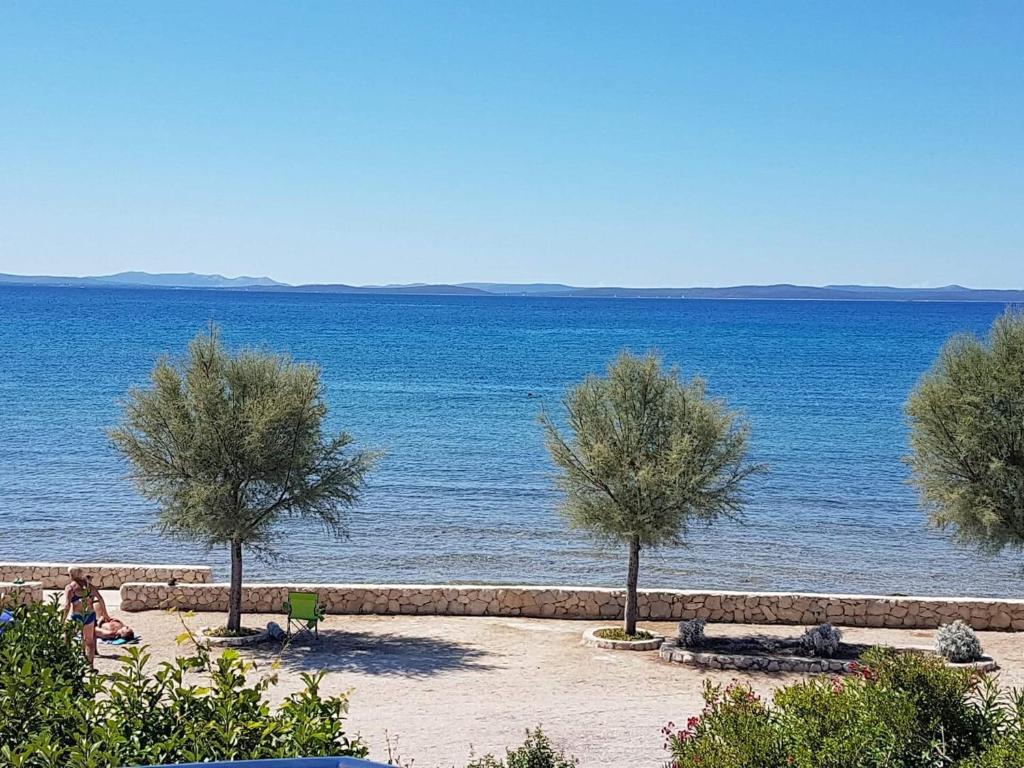 a beach with two trees and a body of water at Apartmani Lorena in Privlaka