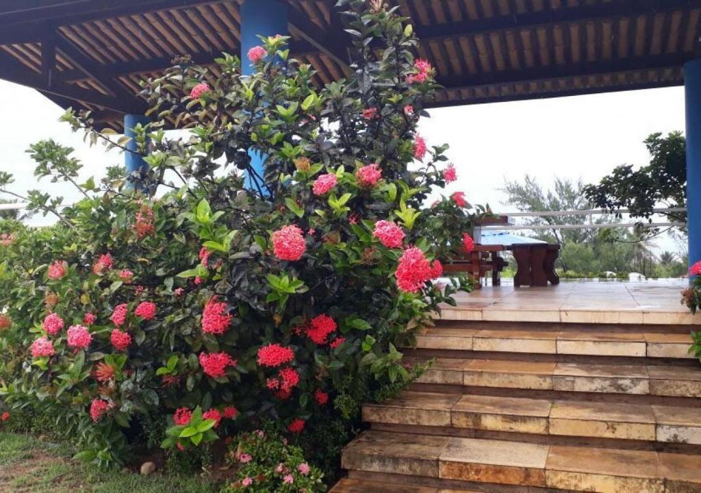  Casa de Praia em Mundaú