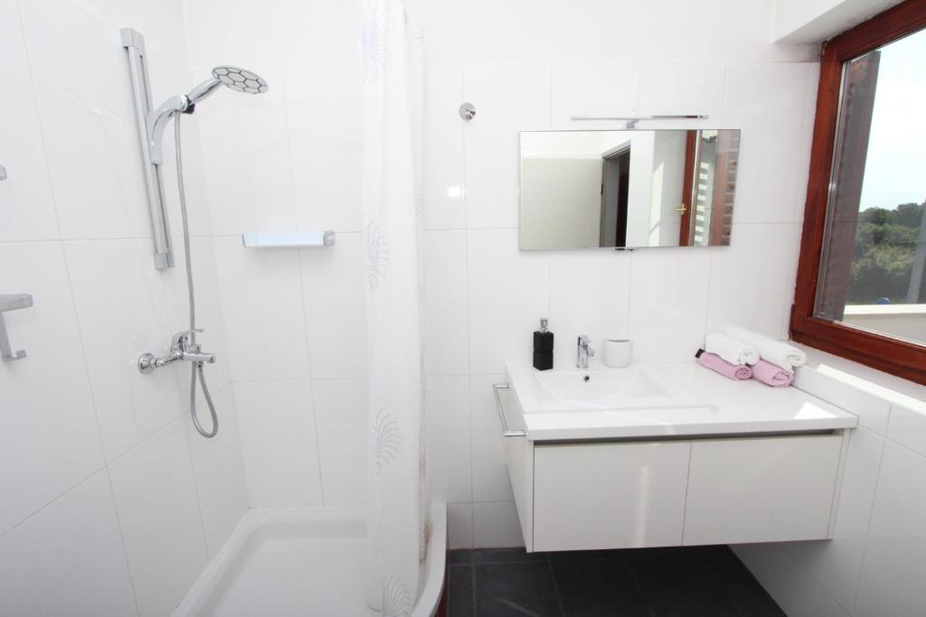 Koupelna v ubytování Rooms and Apartment Luana