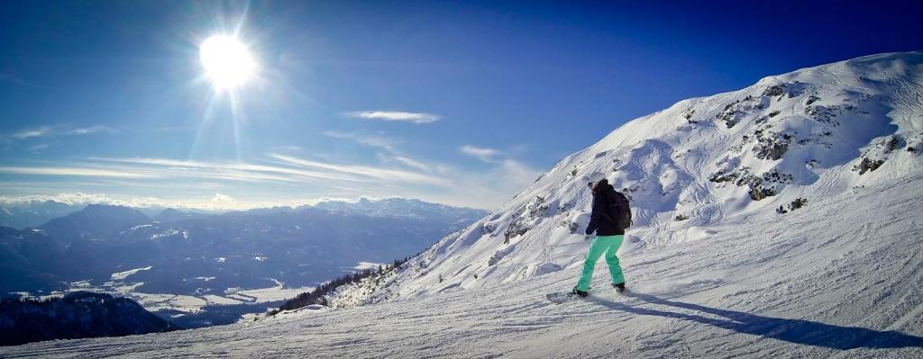 Egghartguthütte during the winter