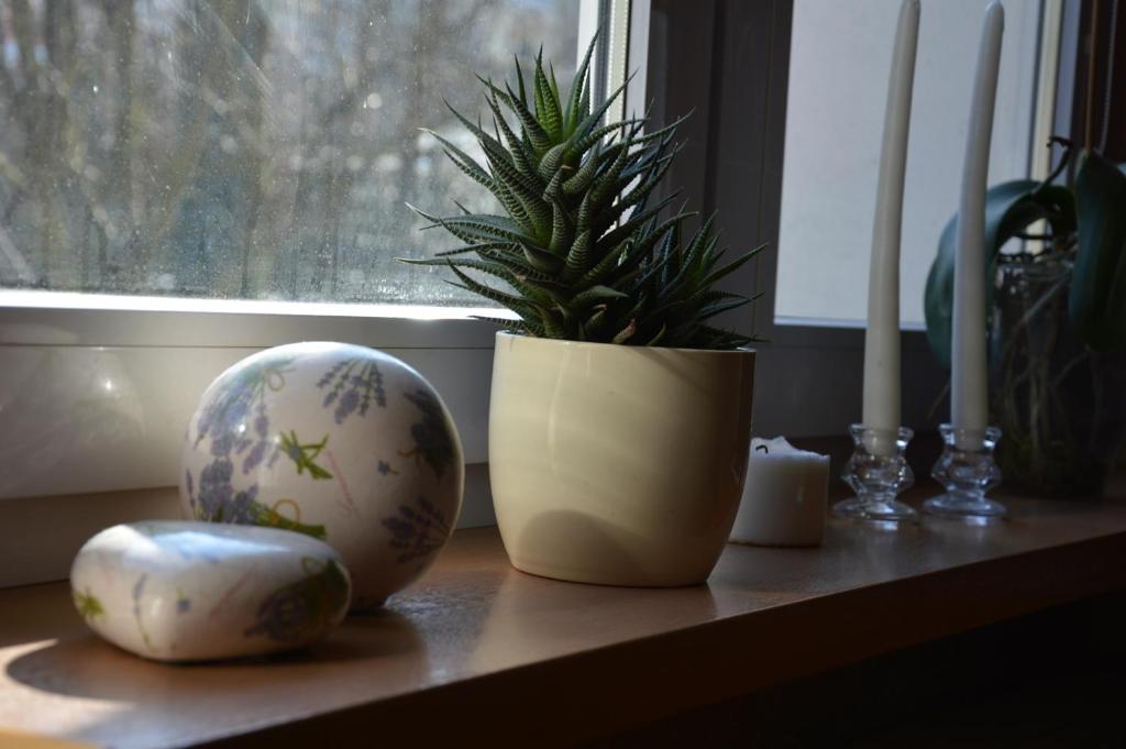 Fotografia z galérie ubytovania Apartamenty Hejszowina v destinácii Kudowa-Zdrój