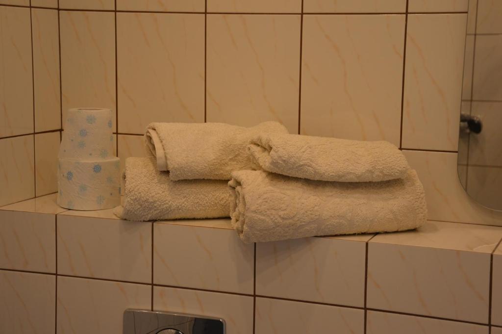 Fotografia z galérie ubytovania Apartamenty Hejszowina v destinácii Kudowa-Zdrój