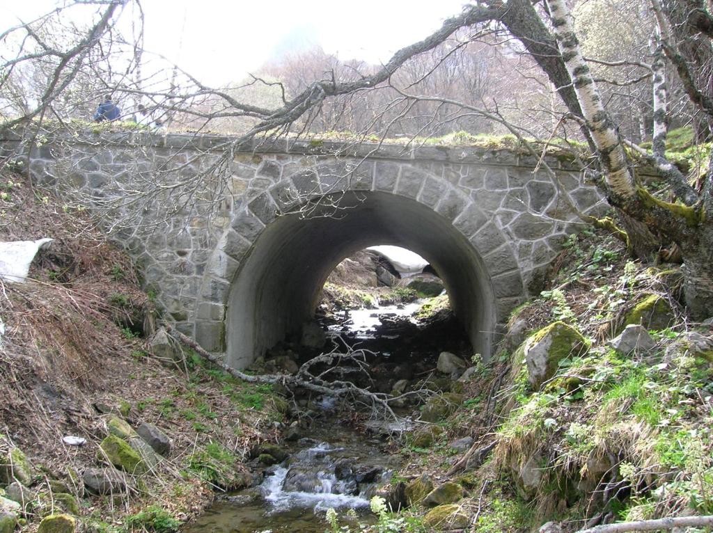 a stone bridge over a stream in a forest at le monne (dit la fermette ) in Chambon-sur-Lac