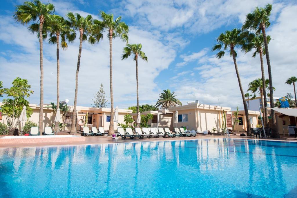 uma grande piscina com palmeiras ao fundo em Sunny Village em Playa del Inglés