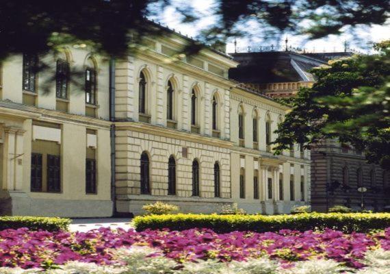 Zahrada ubytování Hotel Fama