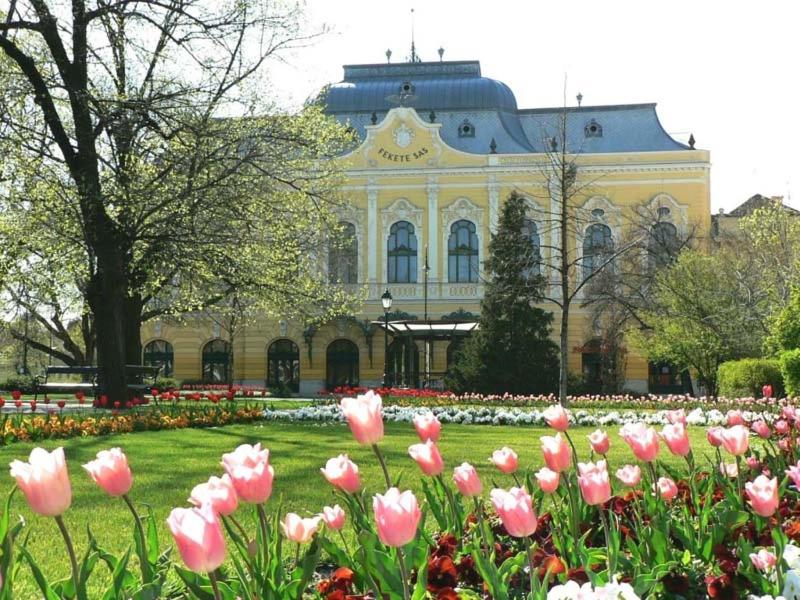 Zahrada ubytování Hotel Fama