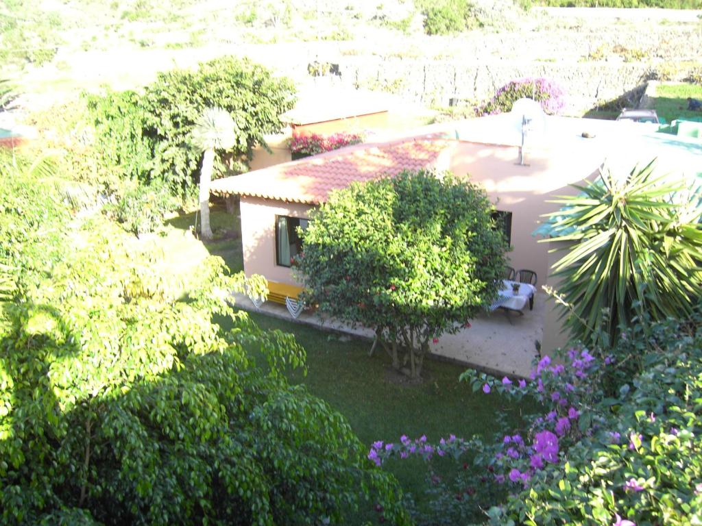 イコー・デ・ロス・ビノスにあるFinca La Gaviota - El Mangoの花の植わる家の空中