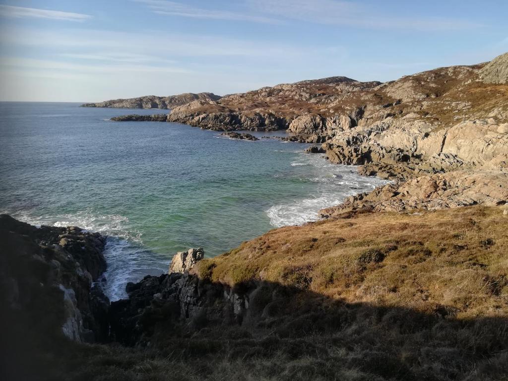 Naturlandskabet i nærheden af lejligheden