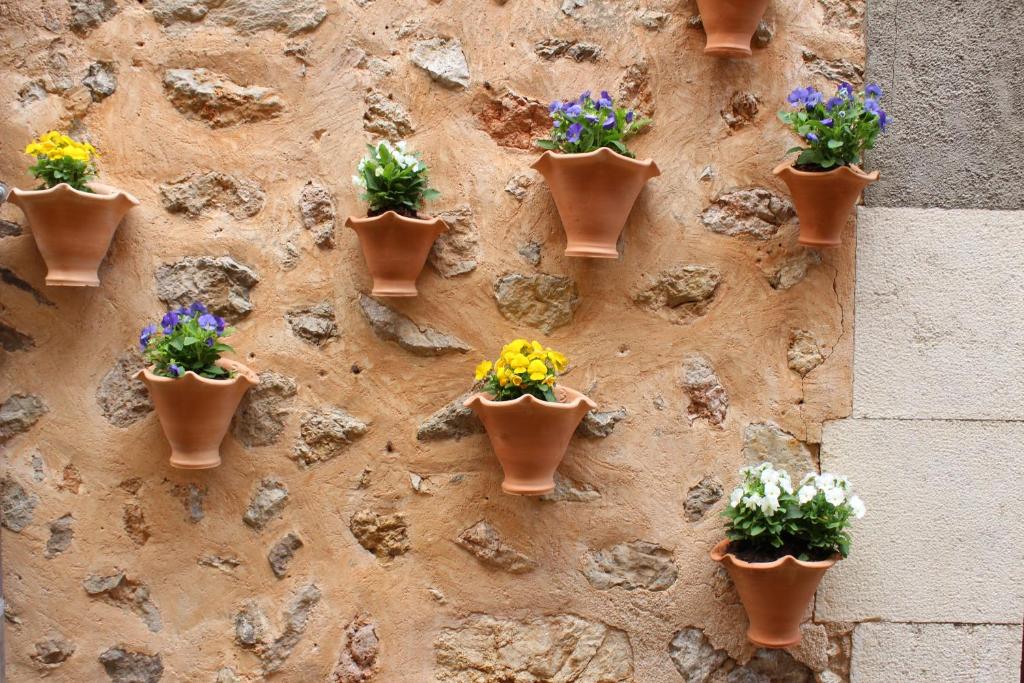 Fotografie z fotogalerie ubytování Rectoria 6 v destinaci Valldemossa