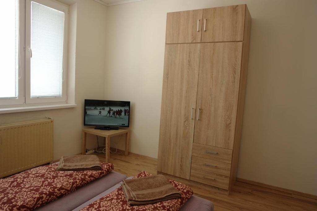 TV a/nebo společenská místnost v ubytování Apartment Tatranská Štrba