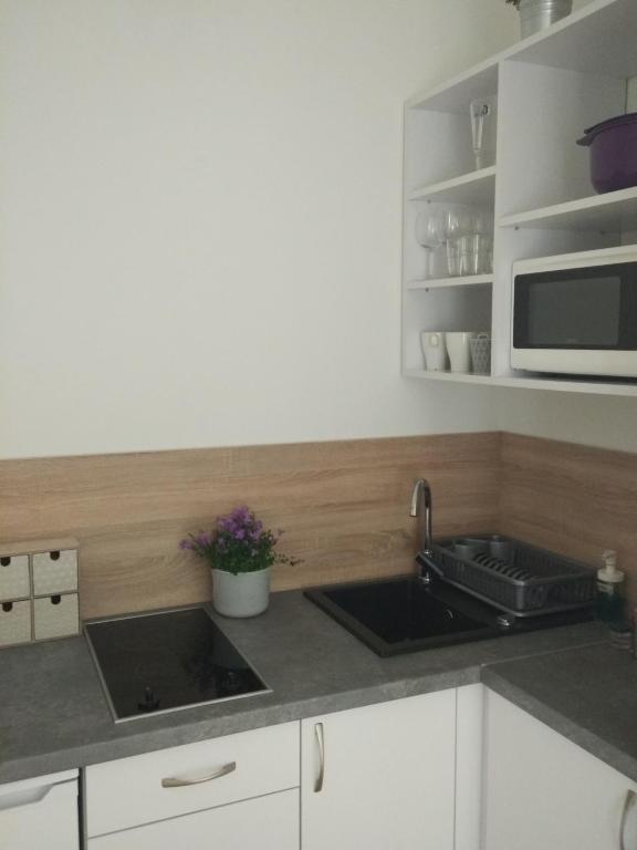 Kamienica - Apartamento De Una Habitación