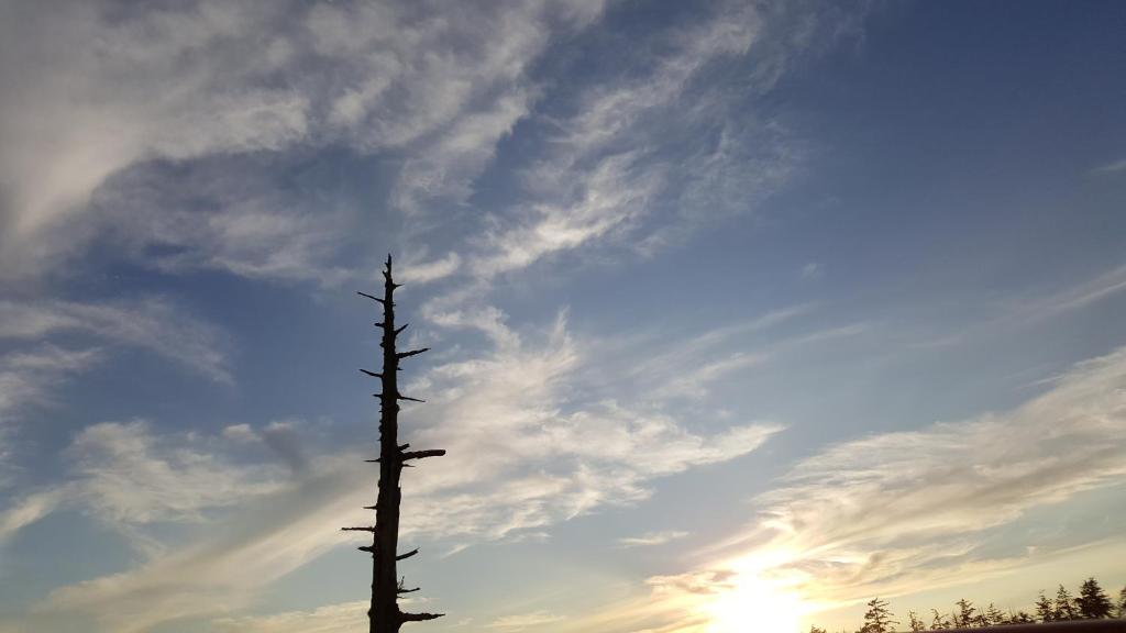 Foto dalla galleria di Reef Point Oceanfront Bed and Breakfast a Ucluelet