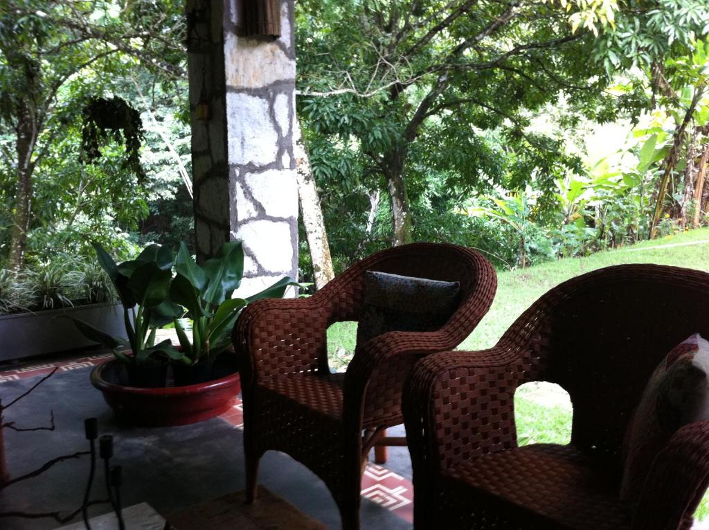 Sitio Alto da Montanha - você em paz com a natureza  Sitio Alto da Montanha - você em paz com a natureza